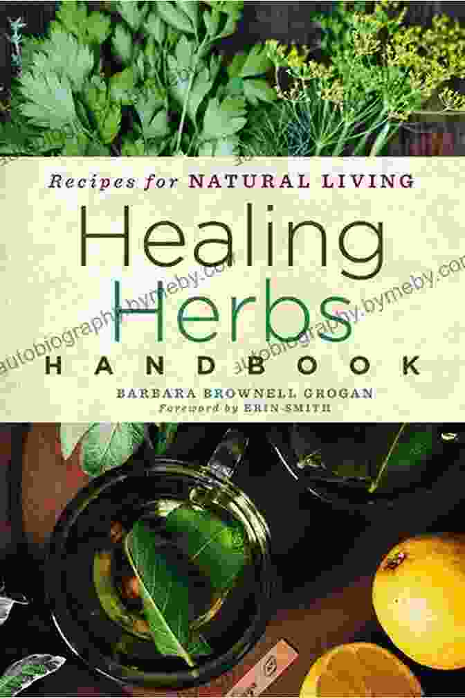 40 Healing Plants And Herbs Book Cover 40 Healing Plants And Herbs: The Medicine Chest Of Native American Tribes (Medicinal And Edible Plants And Herbs Learning From Our Natural Environment)