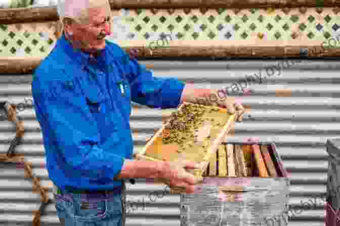 A Beekeeper Inspecting Hives At The Kangaroo Island Honey Company McLaren Vale Travel Guide (Unanchor): Savor South Australia In 3 Days: Just Add Wine