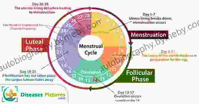 A Detailed Ovulation Cycle Chart Before Your Pregnancy: A 90 Day Guide For Couples On How To Prepare For A Healthy Conception