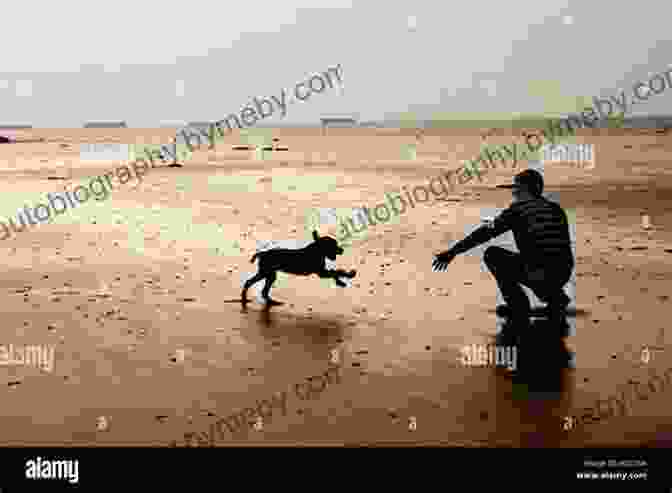 A Happy Dog Running Towards Its Owner, Eager To Please Rocket Recall: Unleash Your Dog S Desire To Return To You Through Motivation Based Training (Predation Substitute Training)