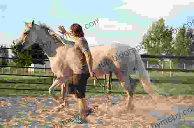 A Rider And Horse Working Together In A Natural Horsemanship Session Horsemanship 101: Building The Foundational Relationship (Horsemanship 101: Beginner 1)