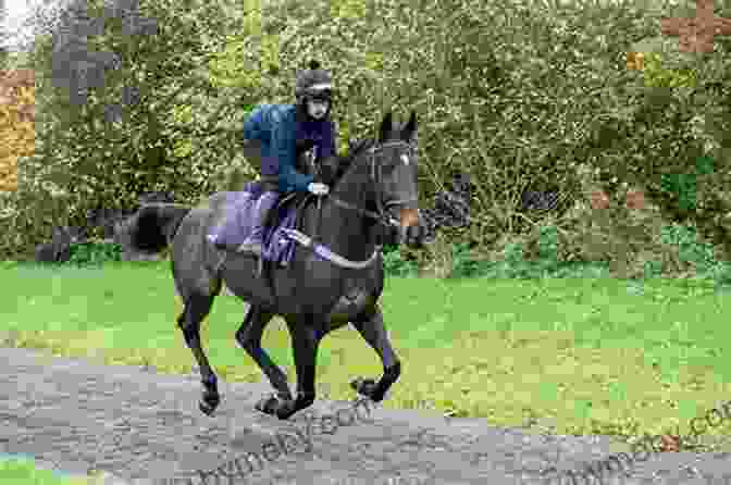 A Rider Galloping On Horseback Horsemanship 101: Building The Foundational Relationship (Horsemanship 101: Beginner 1)