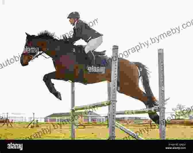 A Rider Jumping A Hurdle On Horseback Horsemanship 101: Building The Foundational Relationship (Horsemanship 101: Beginner 1)