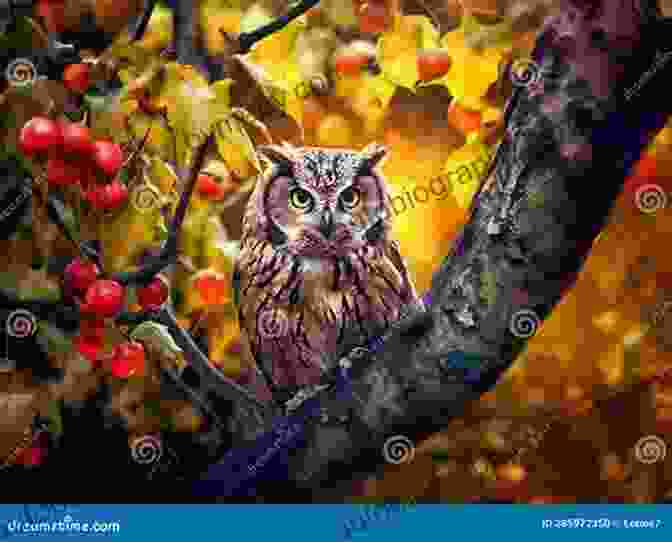 A Stunning Illustration Of An Owl Perched On A Tree Branch, Its Wise Eyes Gazing Into The Distance, As A Young Boy Stands Beside It, Lost In Wonder Owl And The Lost Boy