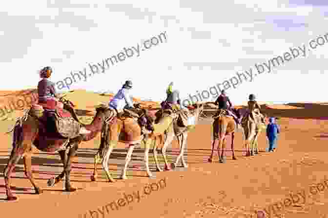 A Vast Sand Dune In The Sahara Desert, With A Camel Caravan Crossing It Stories Of The Sahara Mike Fu