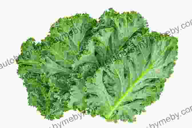 A Vibrant, Full Page Image Of Fresh Kale Leaves, Showcasing Their Verdant Hues And Intricate Patterns Fifty Shades Of Kale: 50 Fresh And Satisfying Recipes That Are Bound To Please