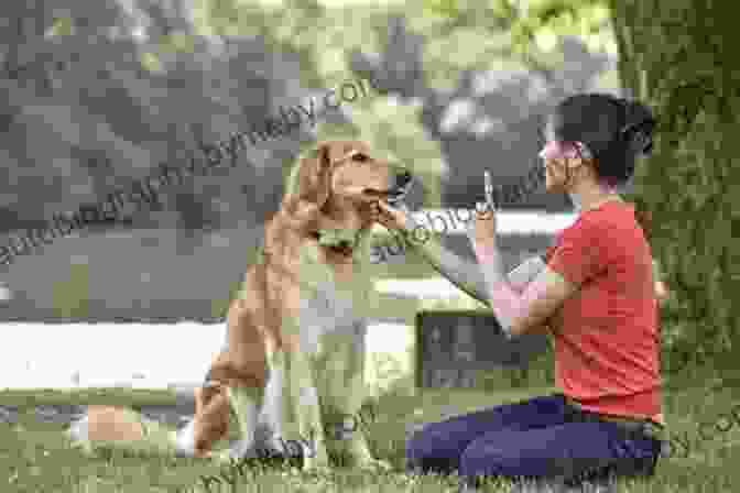 A Woman Giving The Recall Command To Her Dog Rocket Recall: Unleash Your Dog S Desire To Return To You Through Motivation Based Training (Predation Substitute Training)