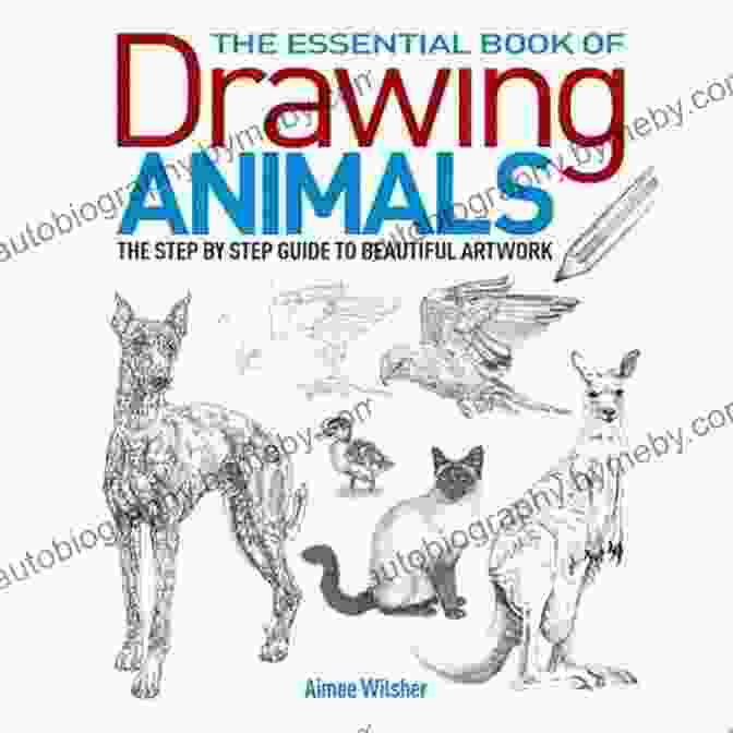 Author John Smith The Essential Of Drawing Animals