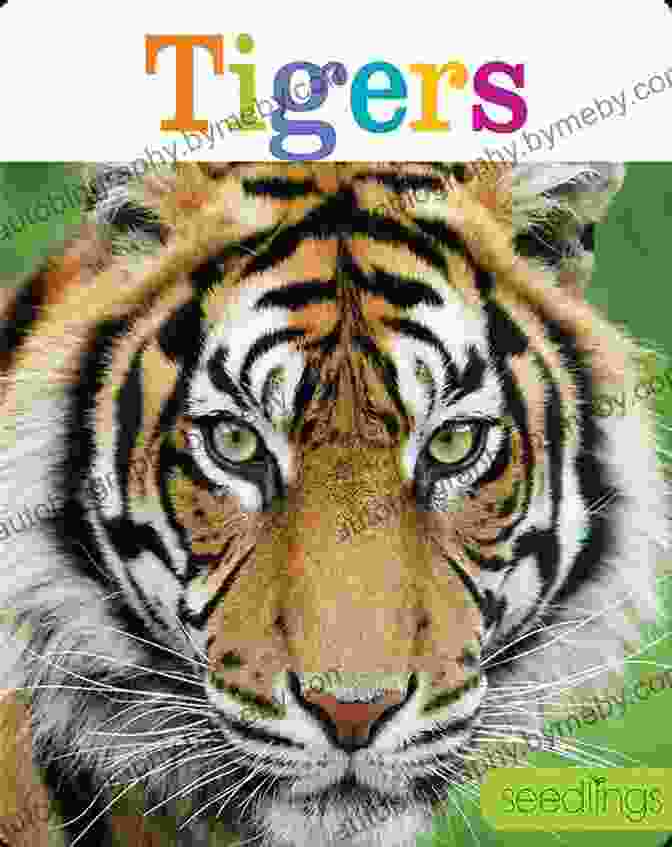 Clemson: Where The Tigers Play Book Cover Clemson: Where The Tigers Play