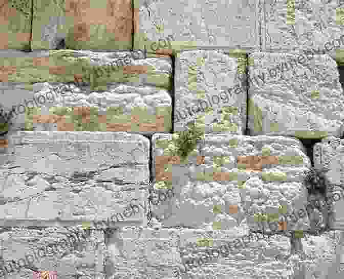 Close Up Of The Western Wall, Depicting Its Massive Ancient Stones And The Devout Worshippers Praying And Placing Notes Within Its Crevices. Top 12 Things To See And Do In Jerusalem Top 12 Jerusalem Travel Guide