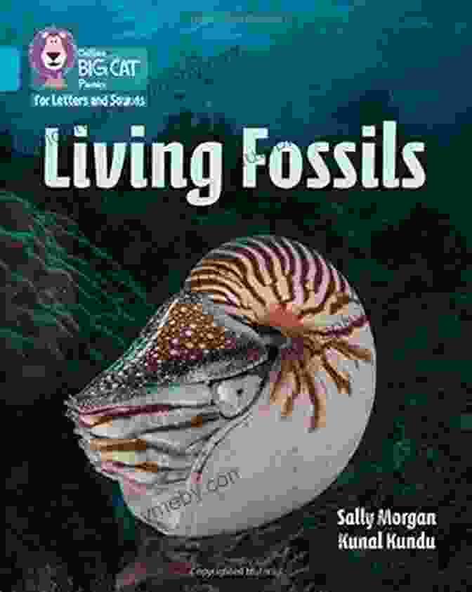 Collins Big Cat Phonics For Letters And Sounds Living Fossils Collins Big Cat Phonics For Letters And Sounds Living Fossils: Band 07/Turquoise: Band 7/Turquoise