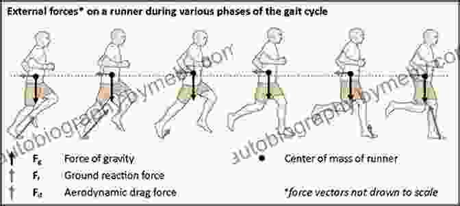 Diagram Of A Runner Showcasing Muscle Groups, Joint Alignment, And Energy Pathways Runner S World Essential Guides: Injury Prevention Recovery: What Every Runner Needs To Know About Getting (and Staying) Healthy