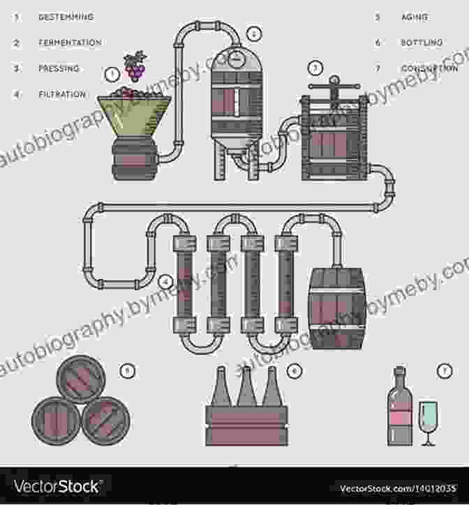 Diagram Of Winemaking Process Halliday Wine Companion 2024: The And Definitive Guide To Australian Wine