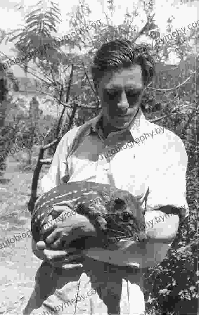 Gerald Durrell Holding One Of His Books Gerald Durrell: The Authorised Biography (Text Only)