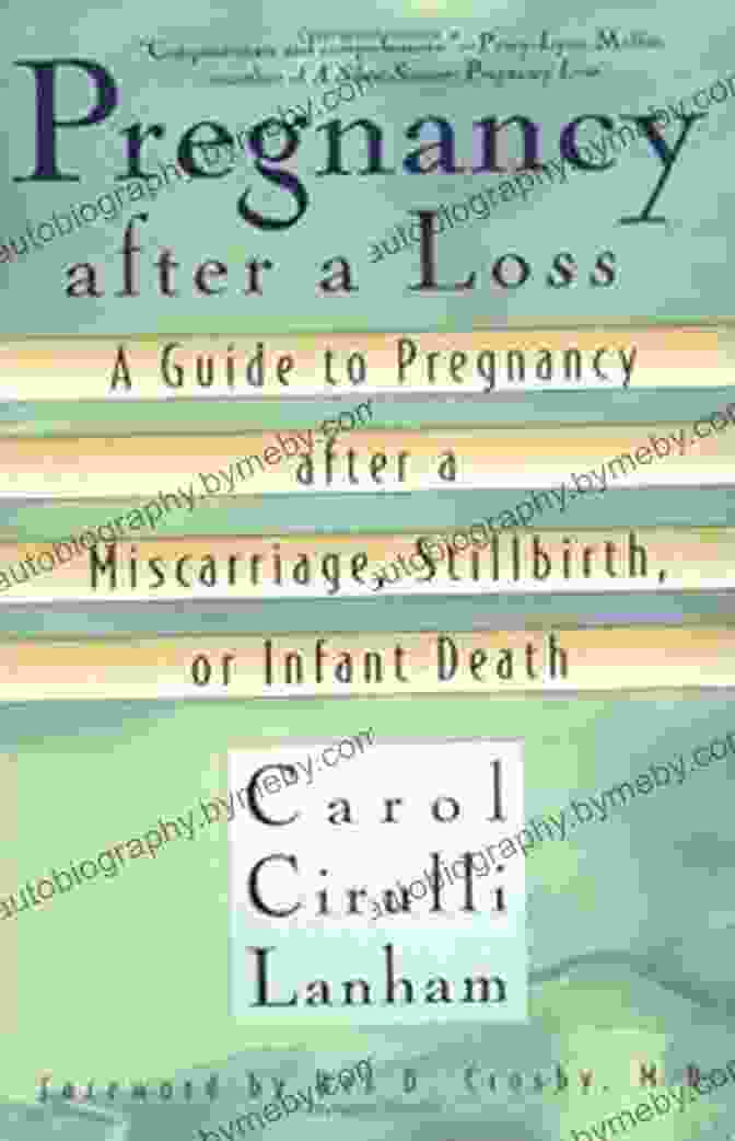 Guide To Pregnancy After Miscarriage Stillbirth And Infant Loss Book Cover With Heartfelt Imagery Trying Again: A Guide To Pregnancy After Miscarriage Stillbirth And Infant Loss