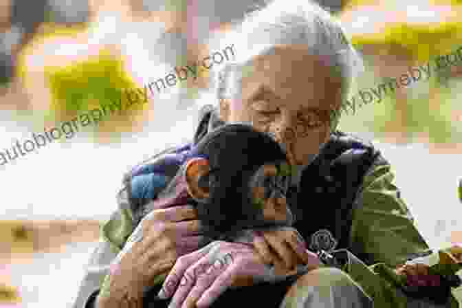 Jane Goodall, Renowned Primatologist And Conservationist, Posing With A Chimpanzee I Am Caring: A Little About Jane Goodall (Ordinary People Change The World)