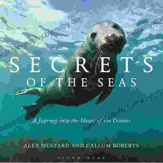 Journey To The Heart Of The Sea Book Cover Chelly And Renee: Journey To The Heart Of The Sea