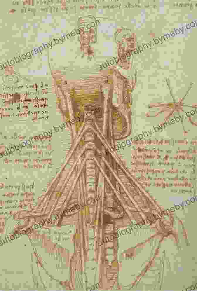 Leonardo Da Vinci's Anatomical Sketches STEM Chronology: The History Of Science Technology Engineering And Mathematics