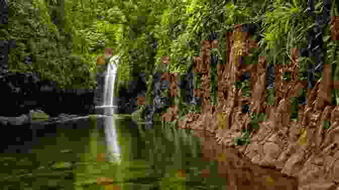 Majestic Fiji Waterfall Surrounded By Lush Rainforest, A Scene Depicted In Softly Fiji. Softly Fiji Andrew McMahon