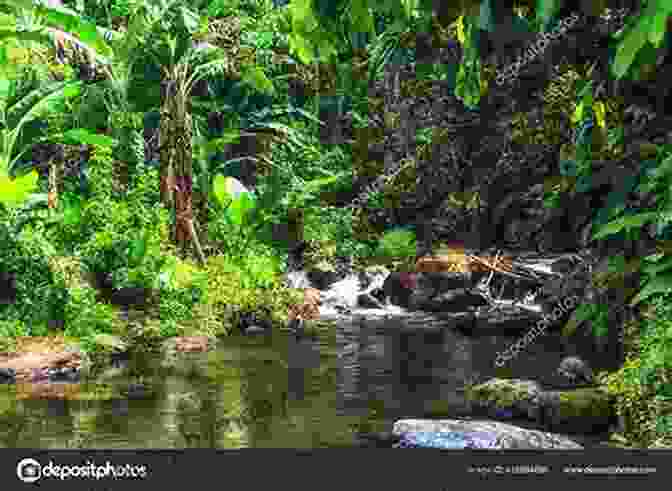 Rugged Mountains And Lush Vegetation In Fiji's Interior, Highlighted In Softly Fiji. Softly Fiji Andrew McMahon