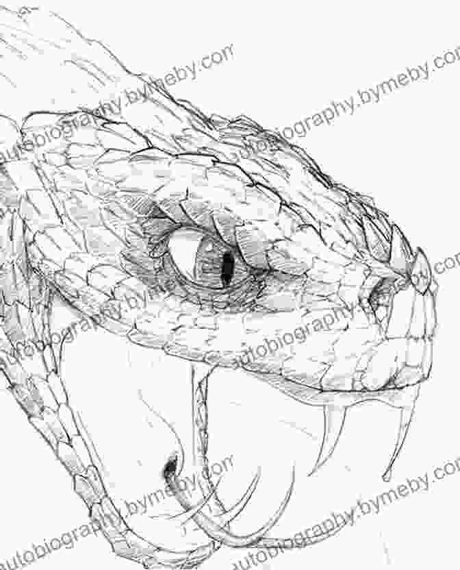 Sketches Of Snakes In Different Environments, Demonstrating How To Create Realistic Backgrounds And Set The Stage For Compelling Snake Encounters. How To Draw Snakes Step By Step Guide: Best Snake Drawing For You And Your Kids