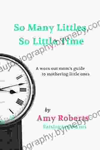 So Many Littles So Little Time: A Busy Mom S Guide To Mothering Little Ones