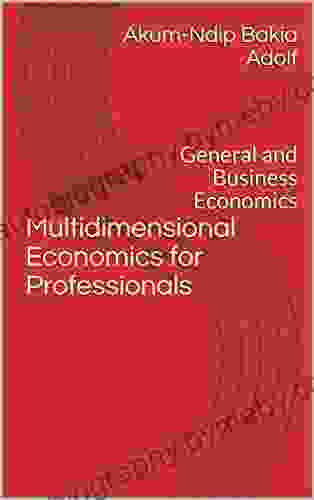 Multidimensional Economics for Professionals : General and Business Economics (Akum multidimensional Economics 1)