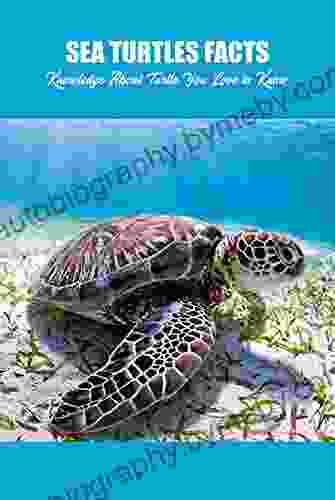 Sea Turtles Facts: Knowledge About Turtle You Love To Know