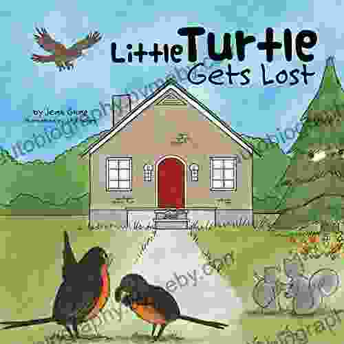 Little Turtle Gets Lost Andrea Winters