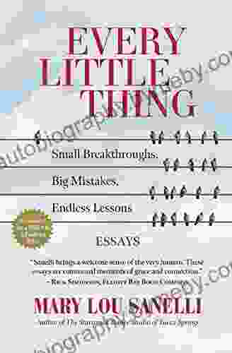 Every Little Thing: Small Breakthroughs Big Mistakes Endless Lessons