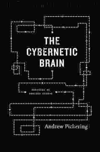 The Cybernetic Brain: Sketches of Another Future