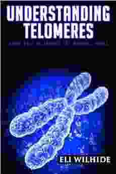 Understanding Telomeres: The Science Of Aging Well