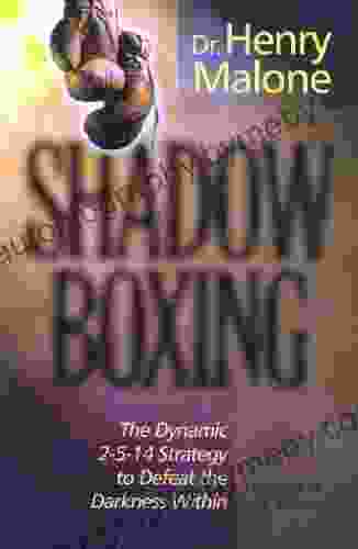 Shadow Boxing: The Dynamic 2 5 14 Strategy To Defeat The Darkness Within