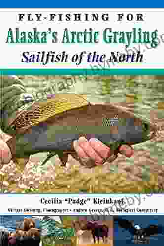 Fly Fishing For Alaska S Arctic Grayling: Sailfish Of The North