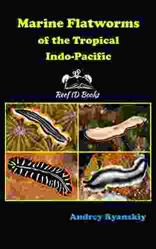 Marine Flatworms of the Tropical Indo Pacific (Coral Reef Academy: Indo Pacific Photo Guides 6)